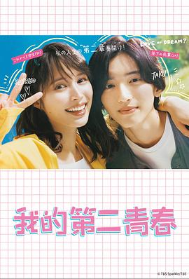 枝江网站seo推广优化